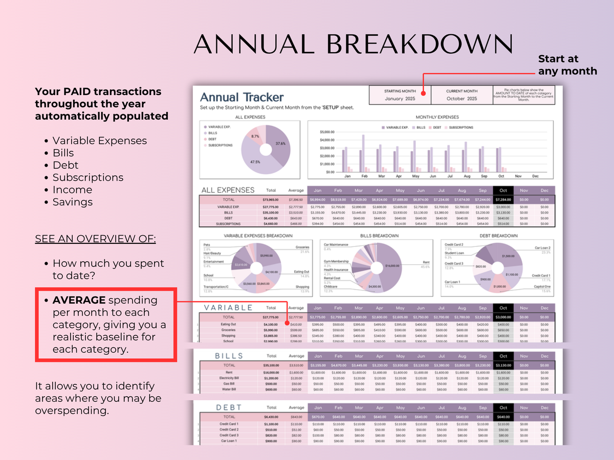 Paycheck Budget 4.0 - annual breakdown of paid transactions