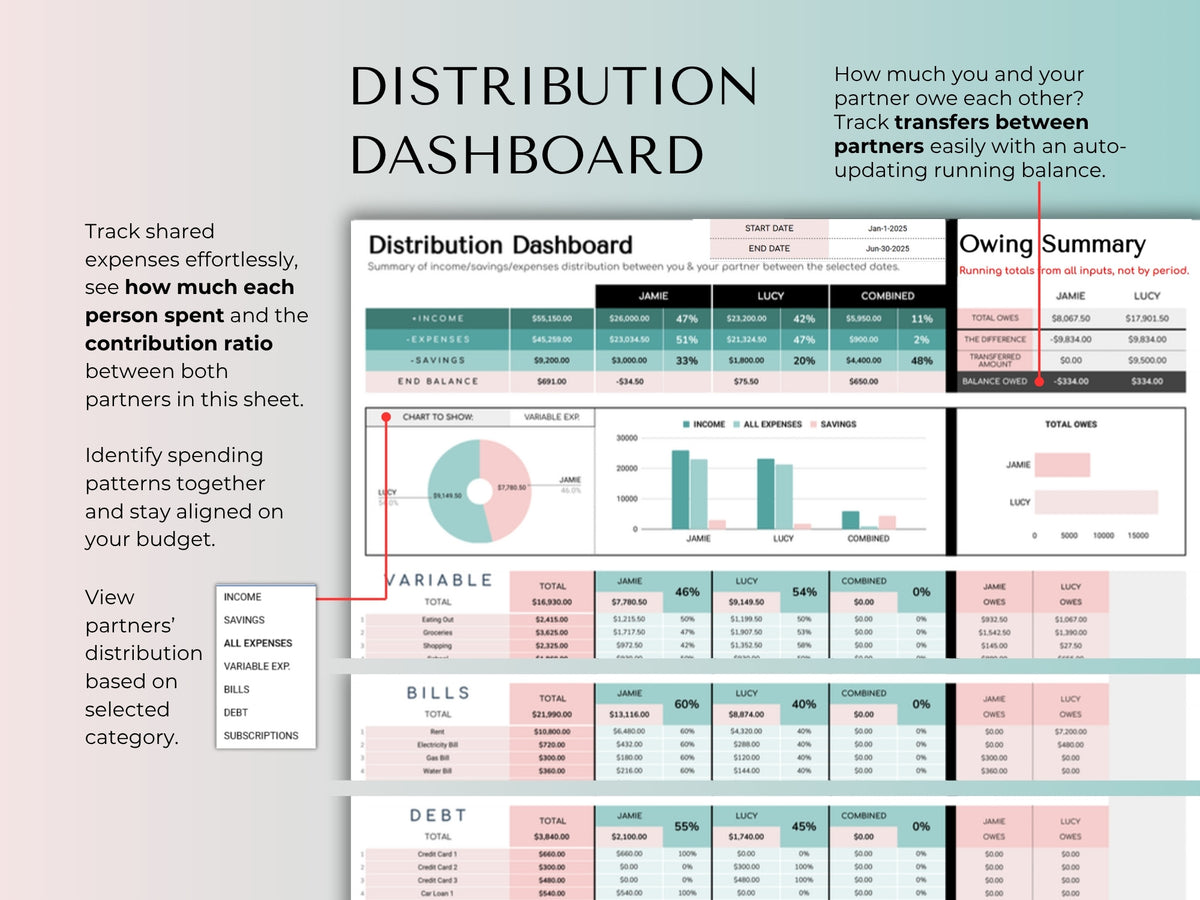 Distribution dashboard showing each partner's spending, contribution ratio and what you owe each other